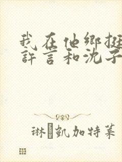 我在他乡挺好的许言和沈子畅结局