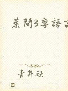 叶问3粤语高清封面