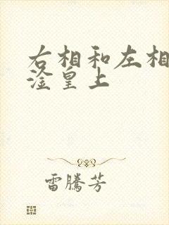 右相和左相一起淦皇上封面