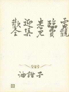 欢迎光临电视剧全集免费观看完整版