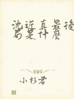 沈近真最后的结局是什么封面