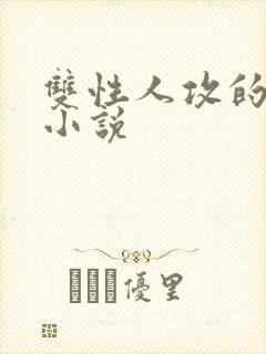 双性人攻的高h小说封面