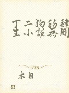 丁二狗的肆意人生小说无删减
