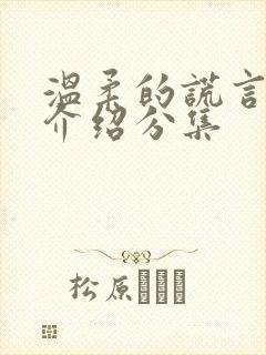 温柔的谎言剧情介绍分集