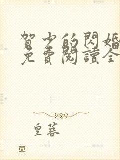 贺少的闪婚暖妻免费阅读全文动漫小说封面