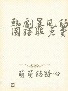 韩剧暴风的恋人国语版免费观看