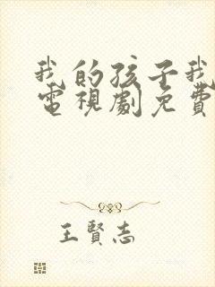 我的孩子我的家电视剧免费观看全集封面