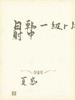 日韩一级r片内射中