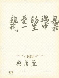 亲爱的遇见你是我一生中最幸运的是