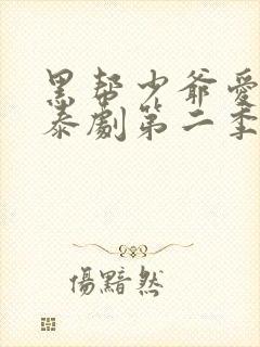 黑帮少爷爱上我泰剧第二季