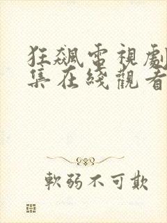 狂飙电视剧40集在线观看免费流畅