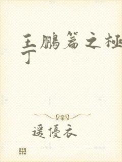 王鹏篇之极品家丁