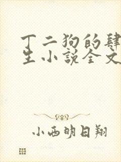 丁二狗的肆意人生小说全文下载