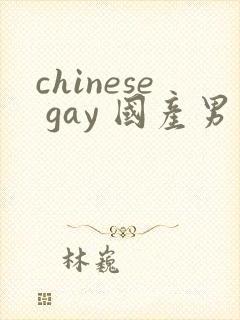 chinese gay 国产男男