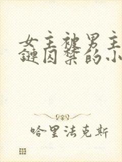 女主被男主用锁链囚禁的小说