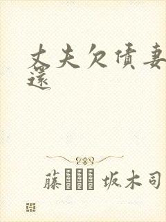 丈夫欠债妻子偿还