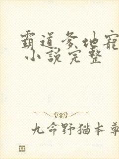 霸道爹地宠又撩 小说完整