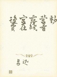 后宫露营动漫免费在线看