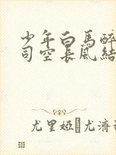 少年白马醉春风司空长风结局