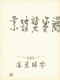 爹地请你温柔点小说免费阅读