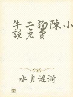 牛二狗陈小燕小说免费