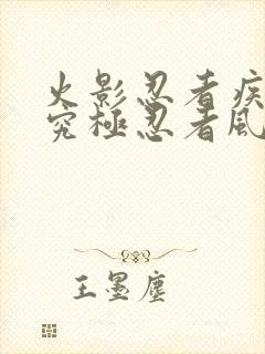 火影忍者疾风传究极忍者风暴3