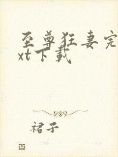 至尊狂妻完整txt下载