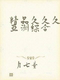 精品久久久久久亚洲综合