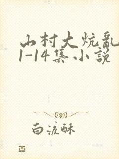 山村大炕乱肉续1-14集小说封面