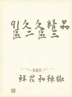 91久久精品一区二区三