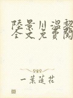 陆景川温黎小说全文免费阅读封面