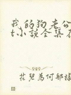 我的狗老公txt小说全集在线阅读