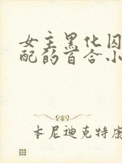 女主黑化囚禁女配的百合小说