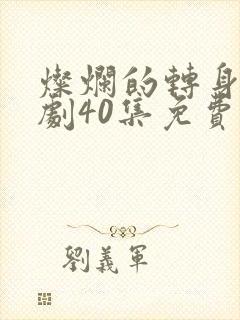 灿烂的转身电视剧40集免费观看高清