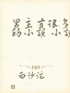 男主有很多女人的小说 小说