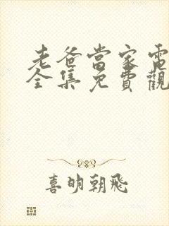 老爸当家电视剧全集免费观看高清