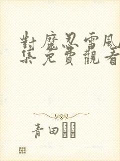 对魔忍雪风3全集免费观看动漫