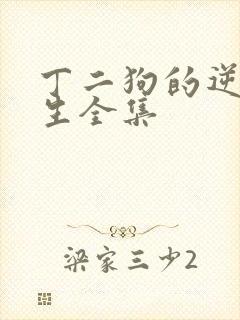 丁二狗的逆袭人生全集封面