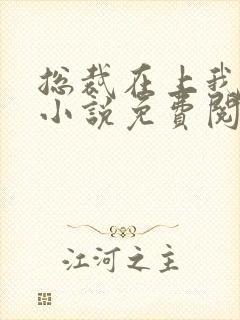 总裁在上我在下小说免费阅读