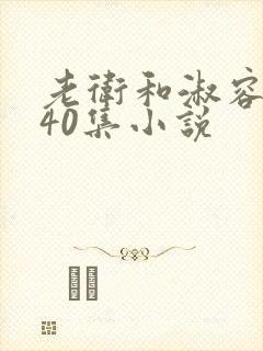 老卫和淑容1-40集小说