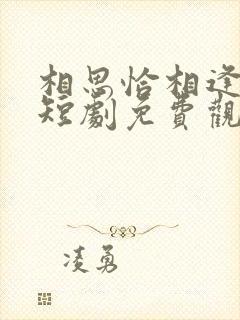 相思恰相逢沈欣短剧免费观看