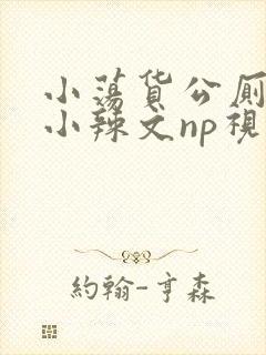 小荡货公厕h文小辣文np视频封面