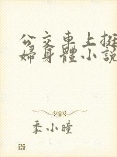 公交车上挺进少妇身体小说封面