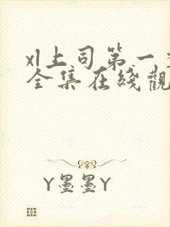 xl上司第一季全集在线观看完整版免费高清