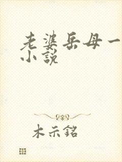 老婆岳母一起操小说