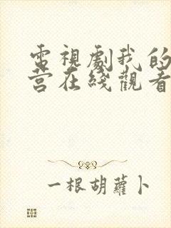 电视剧我的特一营在线观看