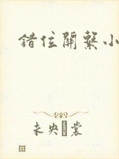 错位关系小说封面