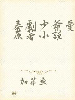 泰剧少爷爱上我原著小说封面