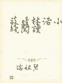 苏晴林浩小说在线阅读