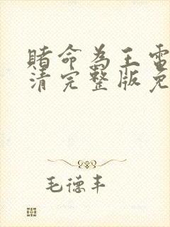 赌命为王电影高清完整版免费观看